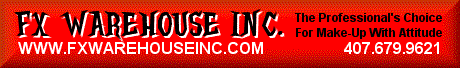 FX WAREHOUSE INC